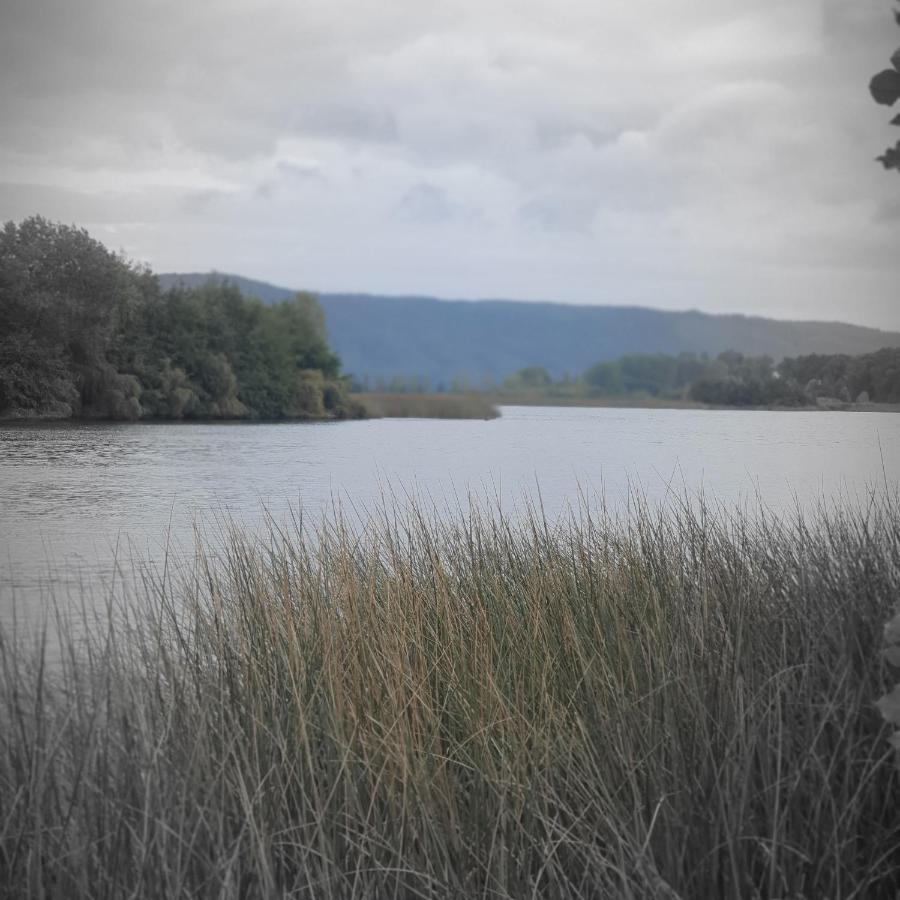 Cabanas Rosner Valdivia Luaran gambar